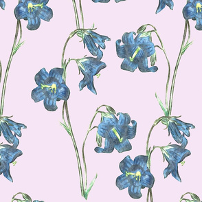 Floral Print Blue over pink
