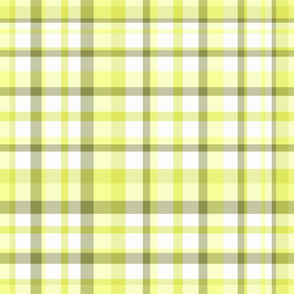 Golden Yellow Plaid