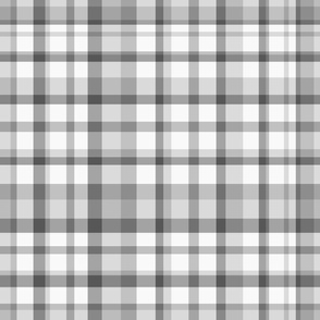 Gray Plaid