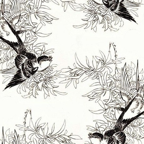 Swallows in Black and White