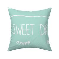 Sweet Dreams Pillowcase panel pair in Mint