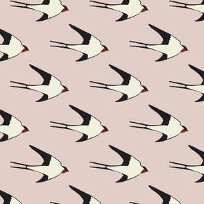 Swallow bird flying on pink