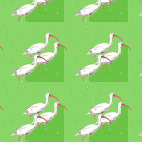 Ibis Tiles