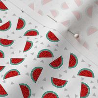 watermelon // fruit summer mini print