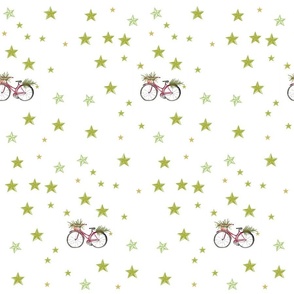 Starry ride Christmas Bicycle