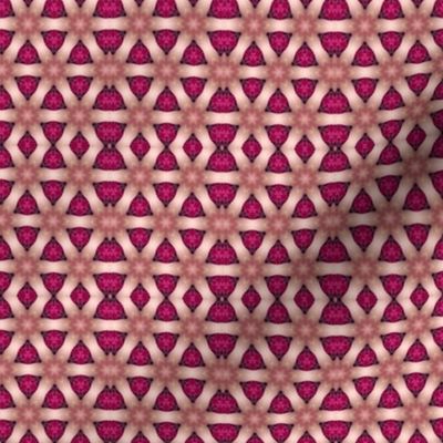Kaleidoscope Pinks