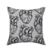 Hearts Anatomical on Soft Gray