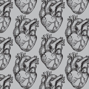 Hearts Anatomical on Soft Gray
