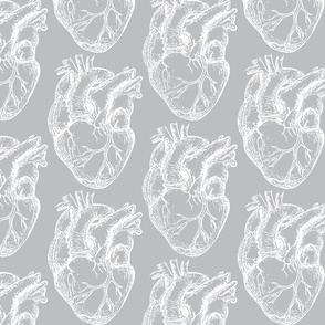 Hearts Anatomical White on Gray