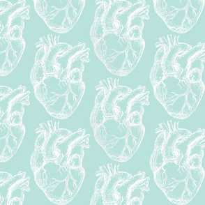 Hearts Anatomical White on Seafoam