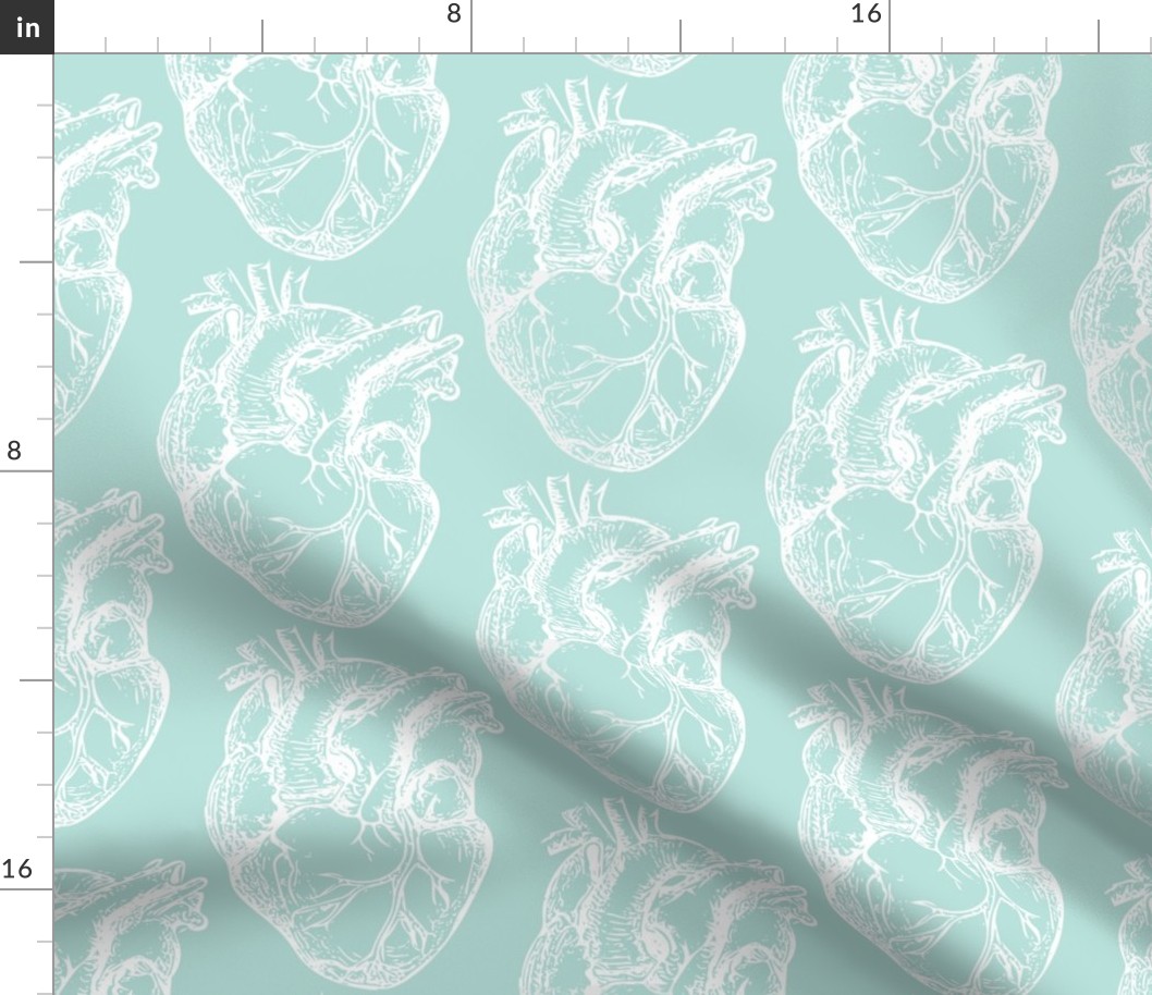 Hearts Anatomical White on Seafoam