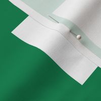 Nigeria flag