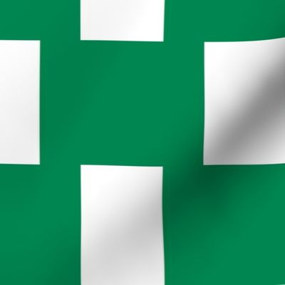 Nigeria flag