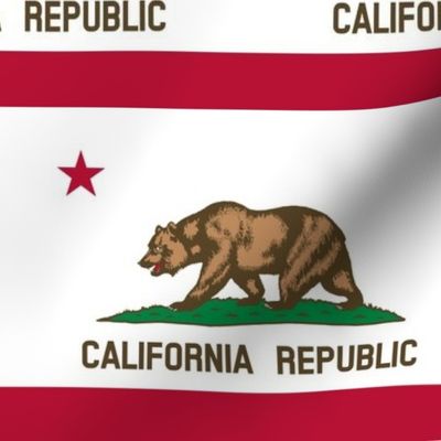 California flag - large (mask size)