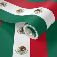 Mexico flag stripe - 2 3/4 inch wide