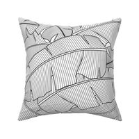  Banana Palm Leaves: Black and White_200Size