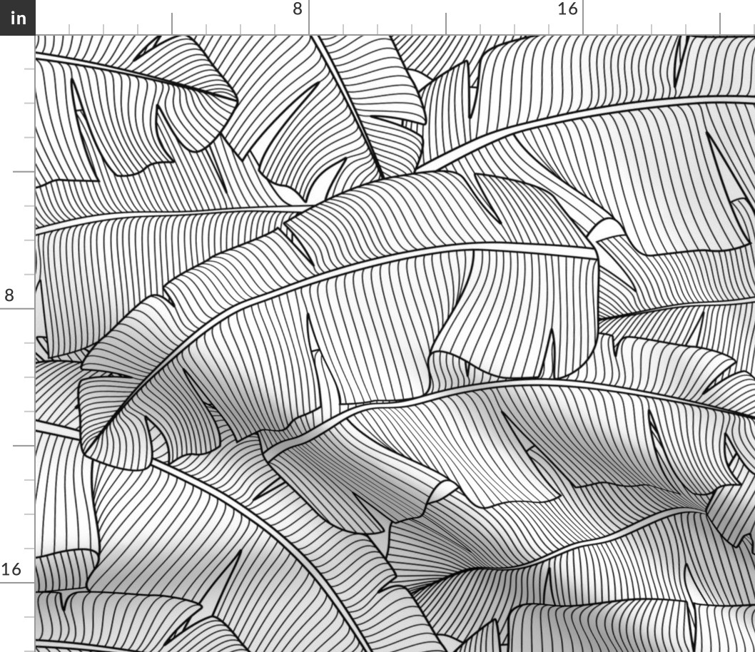  Banana Palm Leaves: Black and White_200Size