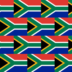 South Africa flag - small
