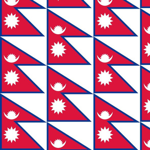 Nepal flag 