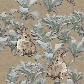 Rabbits in the Kale 