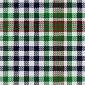 Burns check tartan, 6" modern colors