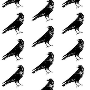 Crows // Small