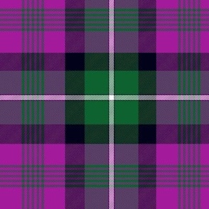 Rennie tartan, 6", modern colors