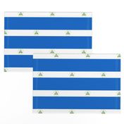 Nicaragua flag