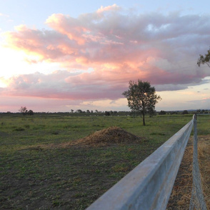 Along the Fenceline to Sunset - Large Scale Australian Landscape (Ref. 0437b)