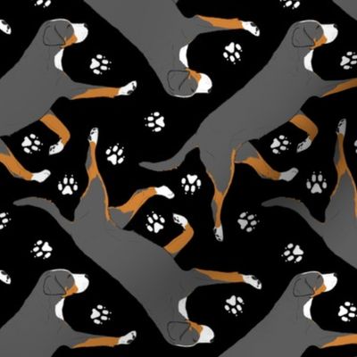 Trotting Greater Swiss Mountain Dog and paw prints - black