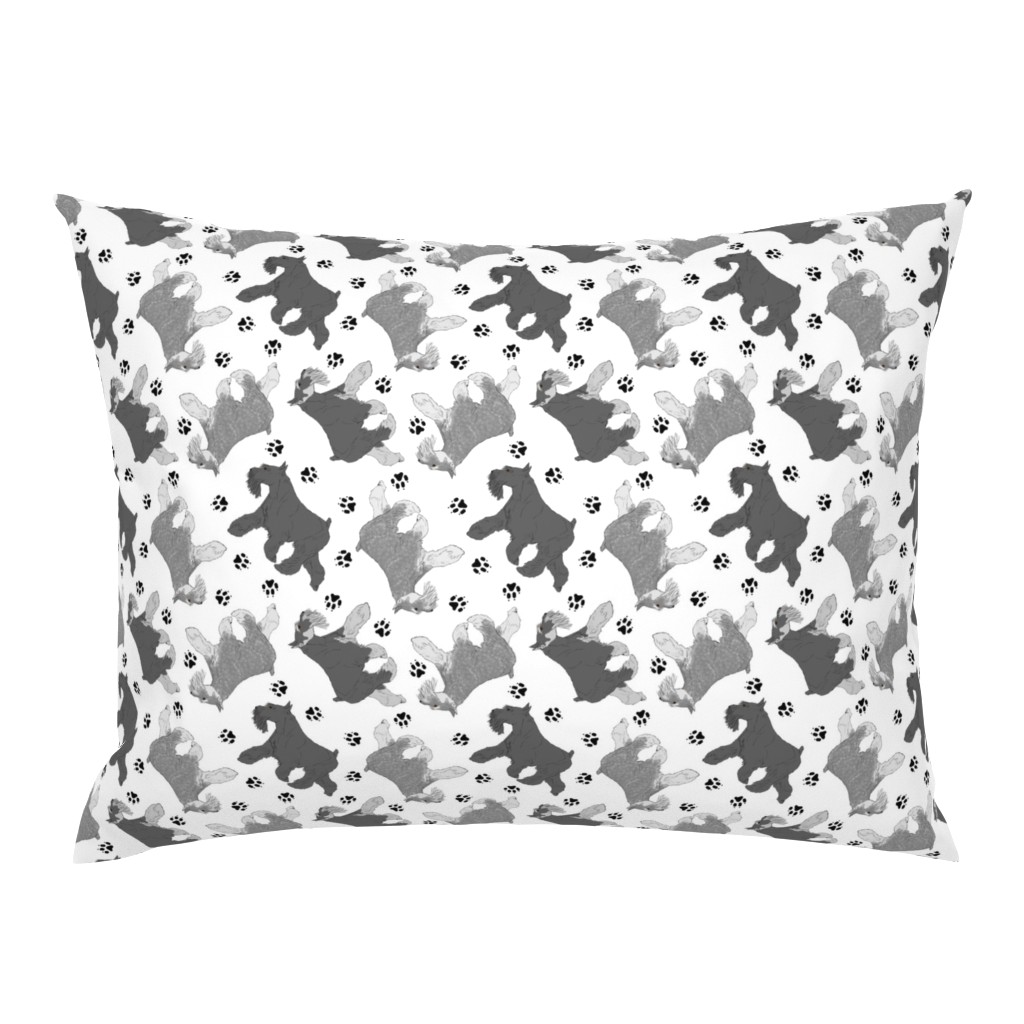 Trotting Miniature Schnauzers and paw prints - white