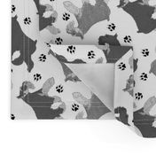 Trotting Miniature Schnauzers and paw prints - white