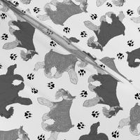 Trotting Miniature Schnauzers and paw prints - white