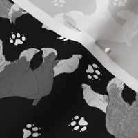 Trotting Miniature Schnauzers and paw prints - black