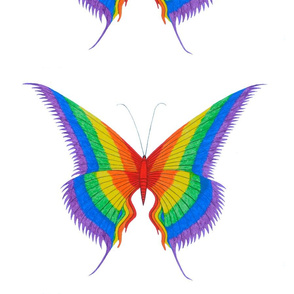 feb_2015_dragonflies_and_butterflies_014