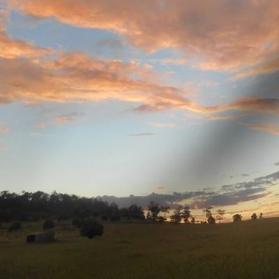 Reflections on the Edge of Dusk - Large ScaleHorizontal Stripes (Ref. 3583b)