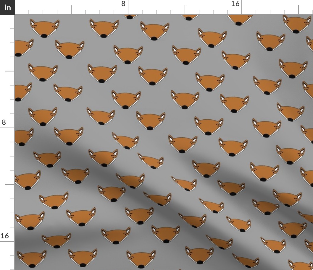 foxes in grey