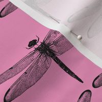 Dragonflies on Pink // Large