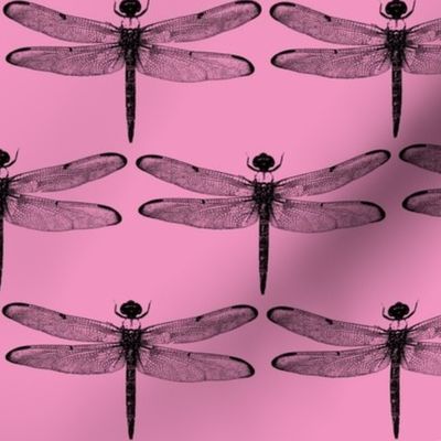 Dragonflies on Pink // Large