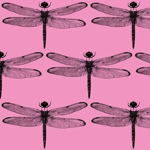 Dragonflies on Pink // Large