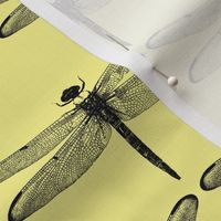 Dragonflies on Yellow // Large