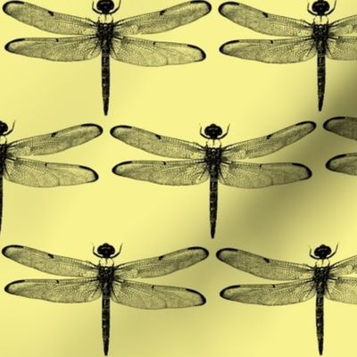 Dragonflies on Yellow // Large