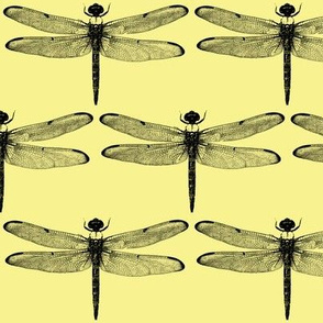 Dragonflies on Yellow // Large