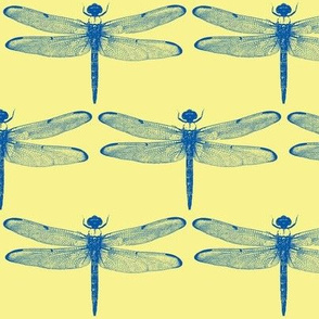 Blue Dragonflies on Yellow // Large