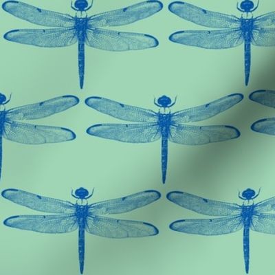 Blue Dragonflies on Green // Large