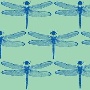 Blue Dragonflies on Green // Large