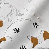 Trotting Ibizan hounds and paw prints - white