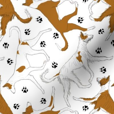 Trotting Ibizan hounds and paw prints - white