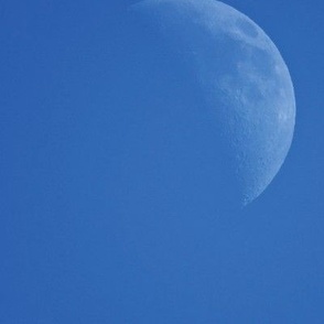 Day moon photo in repeating grid