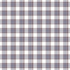 What If? Plaid (tiny)